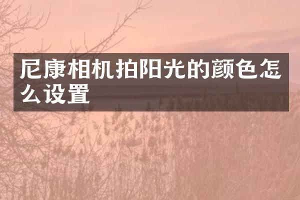 尼康相机拍阳光的颜色怎么设置