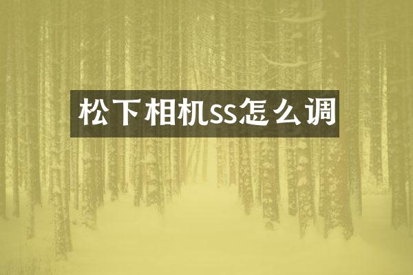 相机ss怎么调