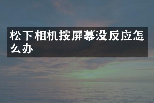 相机按屏幕没反应怎么办