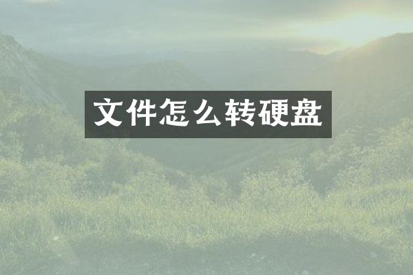 文件怎么转硬盘