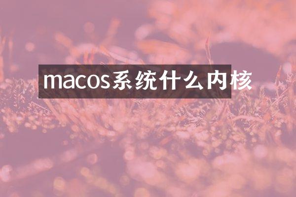 macos系统什么内核