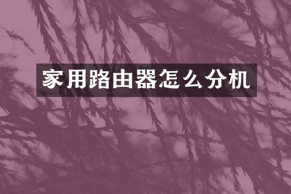 家用路由器怎么分机