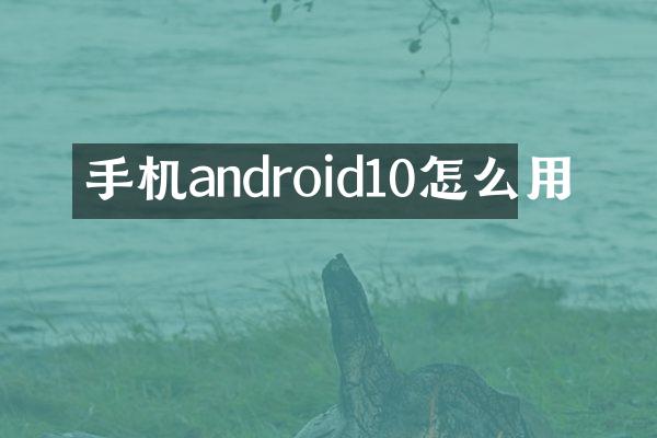 手机android10怎么用