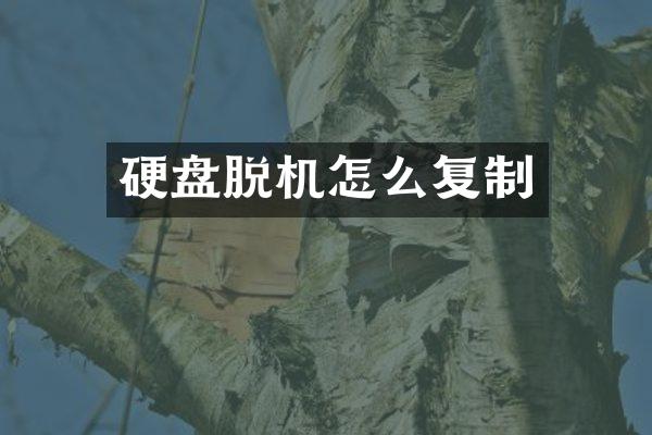 硬盘脱机怎么复制