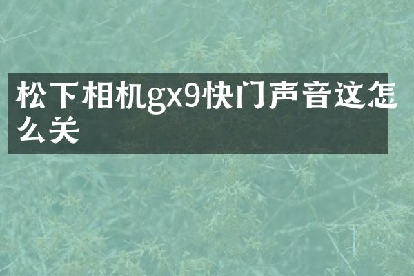 相机gx9快门声音这怎么关