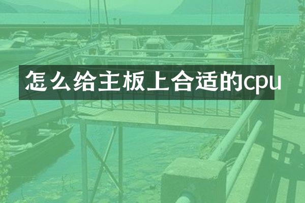 怎么给主板上合适的cpu