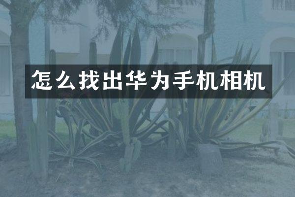 怎么找出华为手机相机