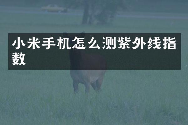 小米手机怎么测紫外线指数