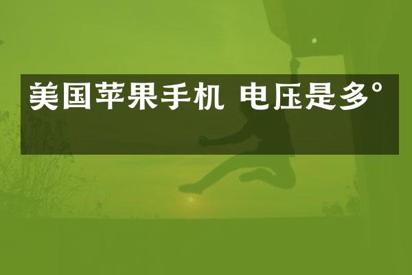 美国苹果手机 电压是多少