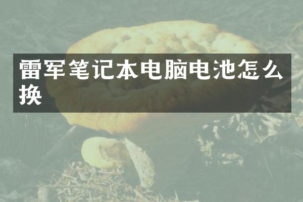 雷军笔记本电脑电池怎么换