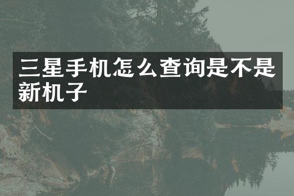 三星手机怎么查询是不是新机子