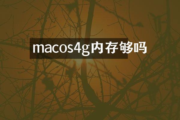 macos4g内存够吗
