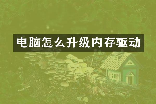 电脑怎么升级内存驱动