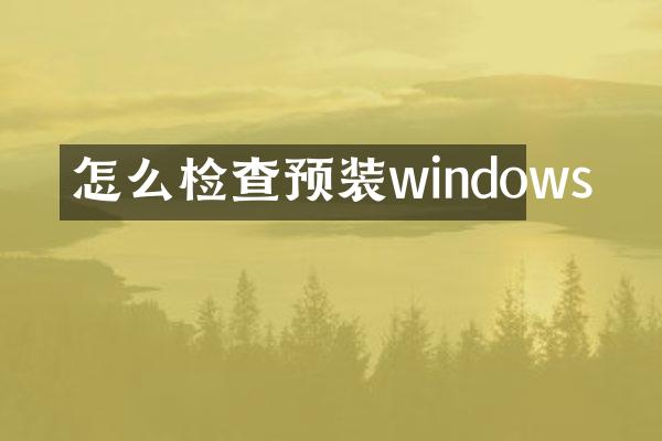 怎么检查预装windows