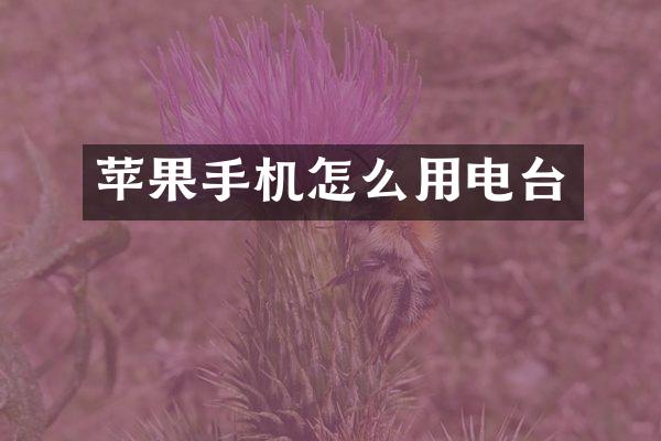 苹果手机怎么用电台