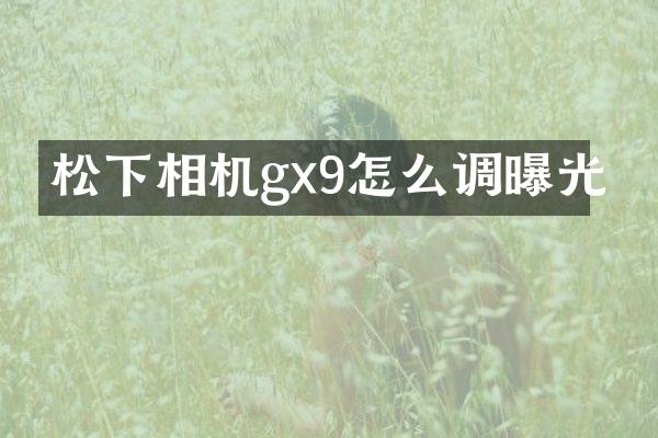 相机gx9怎么调曝光