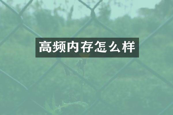 高频内存怎么样