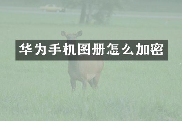 华为手机图册怎么加密