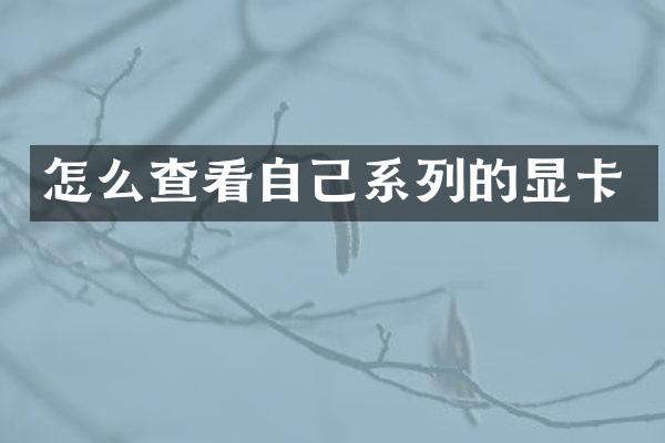 怎么查看自己系列的显卡