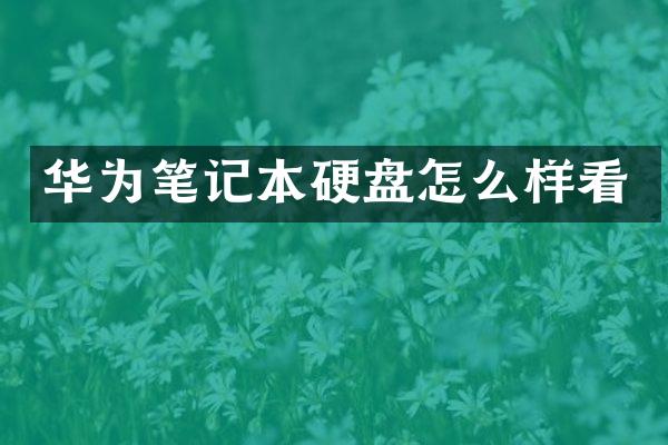 华为笔记本硬盘怎么样看