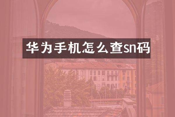 华为手机怎么查sn码