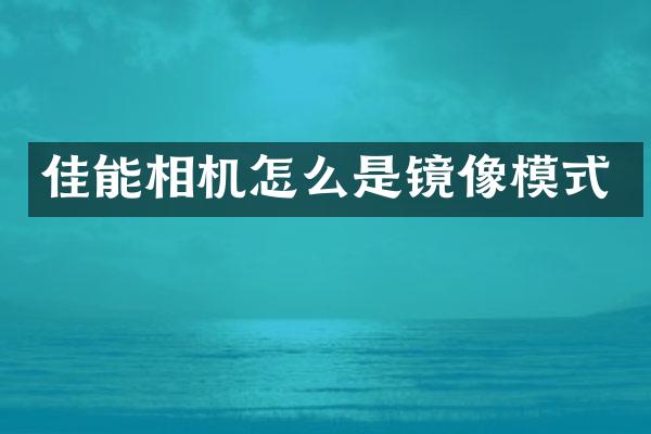 佳能相机怎么是镜像模式