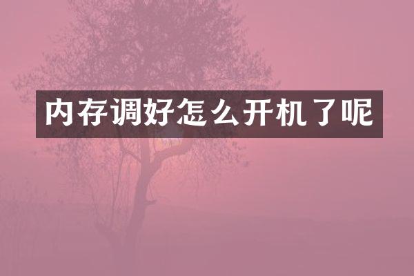内存调好怎么开机了呢