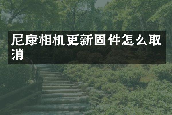 尼康相机更新固件怎么取消