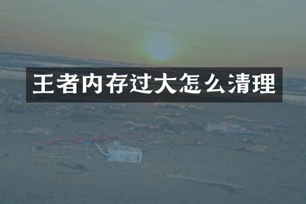 王者内存过大怎么清理