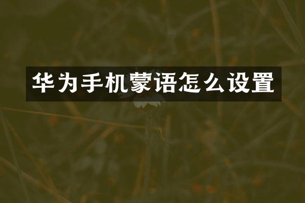 华为手机蒙语怎么设置