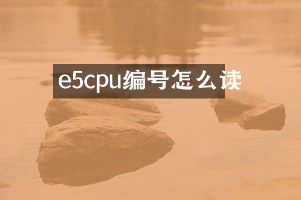 e5cpu编号怎么读