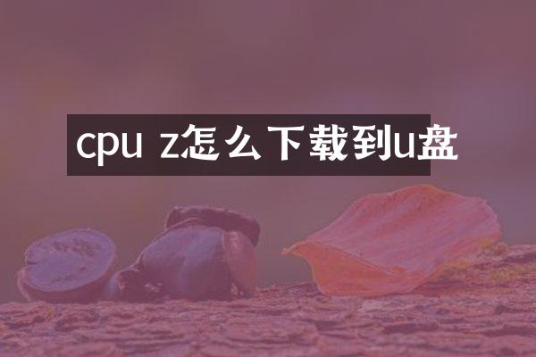 cpu z怎么下载到u盘