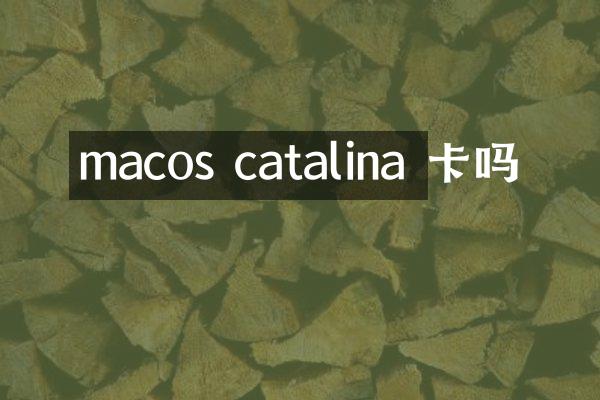 macos catalina 卡吗