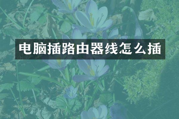 电脑插路由器线怎么插