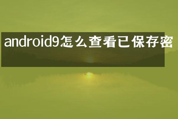 android9怎么查看已保存密码