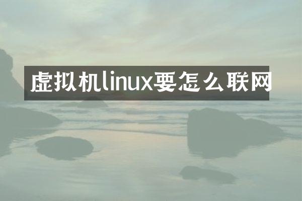 虚拟机linux要怎么联网