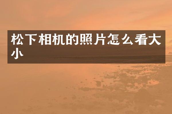 相机的照片怎么看大小