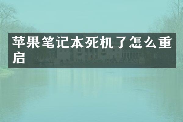苹果笔记本死机了怎么重启