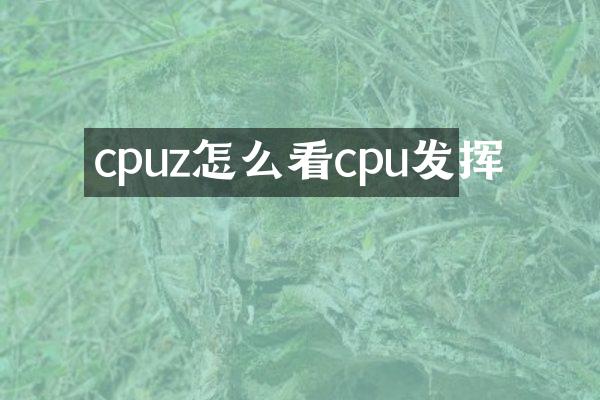 cpuz怎么看cpu发挥