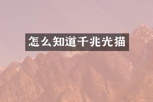 怎么知道千兆光猫