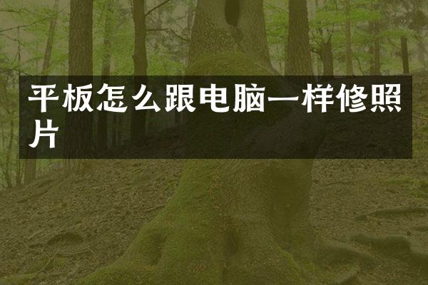 平板怎么跟电脑一样修照片