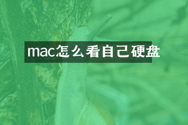 mac怎么看自己硬盘