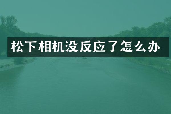 相机没反应了怎么办