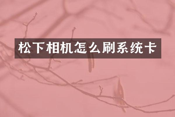 相机怎么刷系统卡