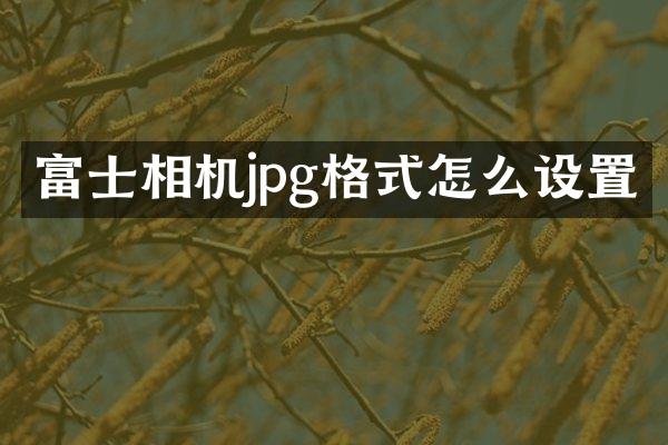 富士相机jpg格式怎么设置