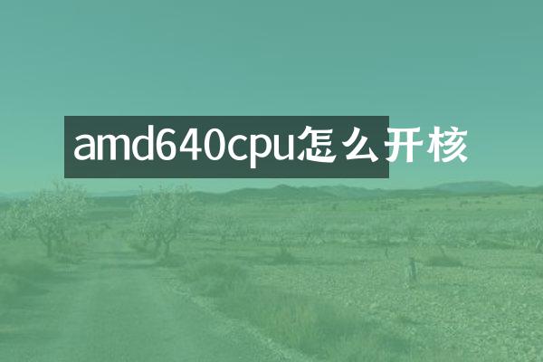 amd640cpu怎么开核