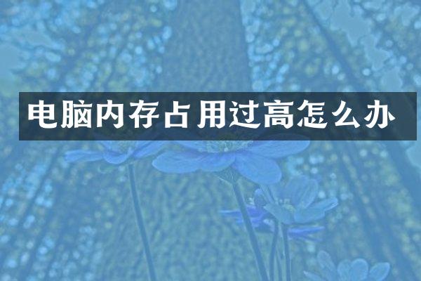 电脑内存占用过高怎么办