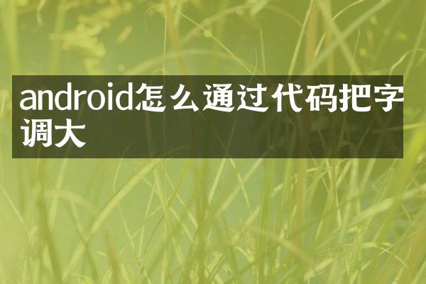 android怎么通过代码把字体调大