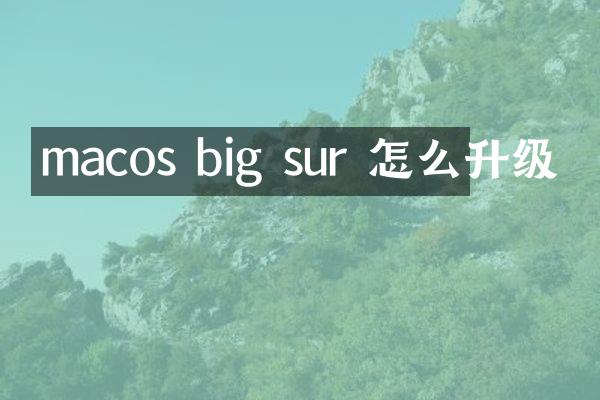 macos big sur 怎么升级