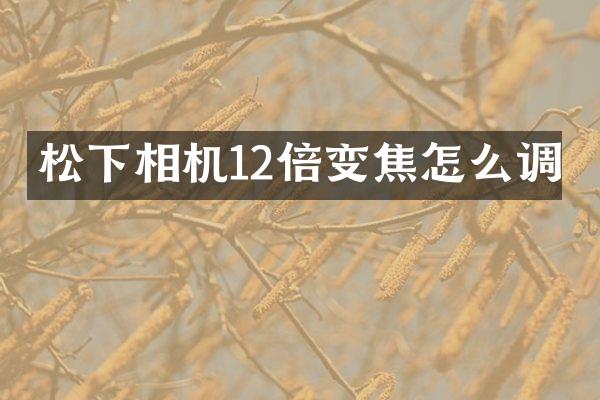 相机12倍变焦怎么调